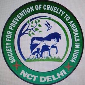 Society For Prevention Of Cruelty To Animals In India – Help Homeless  Animals